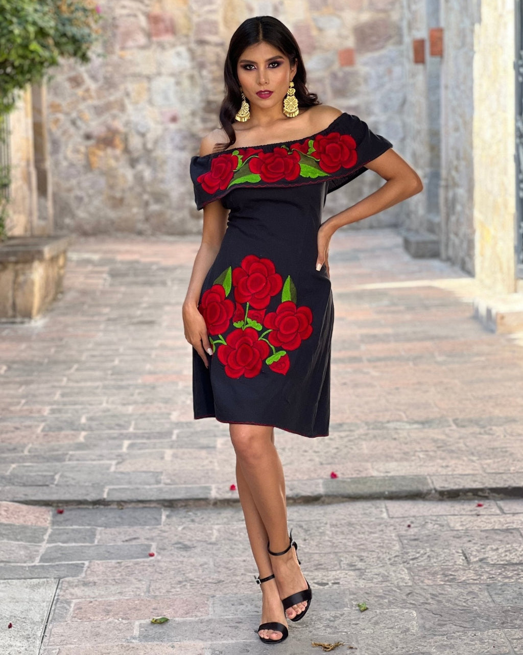 green emerald velvet dress Annie Embroidered Roses Floral Swing Dress in Black/Red